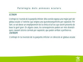 6. 2 parpelles i pestanyes