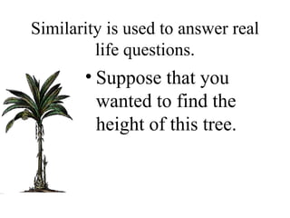 Similarity is used to answer real life questions. Suppose that you wanted to find the height of this tree.  