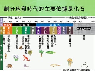 劃分地質時代的主要依據是化石 