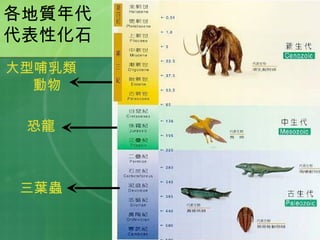 各地質年代 代表性化石 大型哺乳類動物 恐龍 三葉蟲 