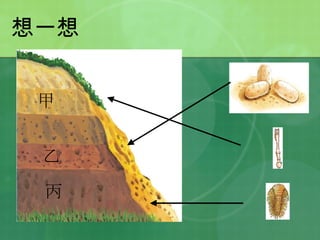 想一想 甲 乙 丙 