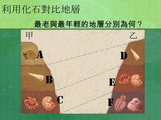 利用化石對比地層 最老與最年輕的地層分別為何？ A B C D E F 甲 乙 
