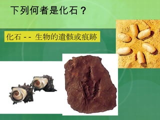 下列何者是化石 ?  化石 -- 生物的遺骸或痕跡 