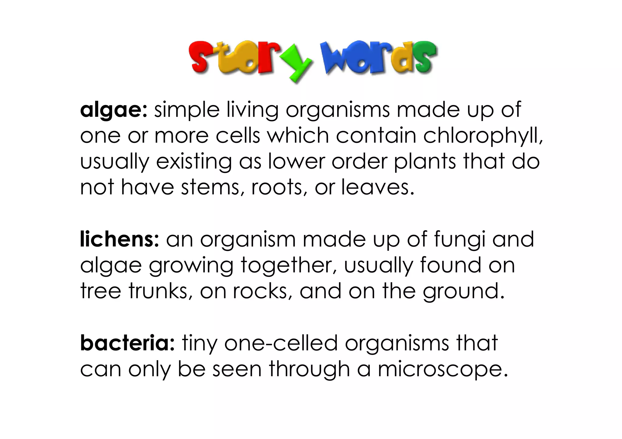 algae: simple living organisms made up of
one or more cells which contain chlorophyll,
usually existing as lower order plants that do
not have stems, roots, or leaves.
lichens: an organism made up of fungi and
algae growing together, usually found on
tree trunks, on rocks, and on the ground.
bacteria: tiny one­celled organisms that
can only be seen through a microscope.
 