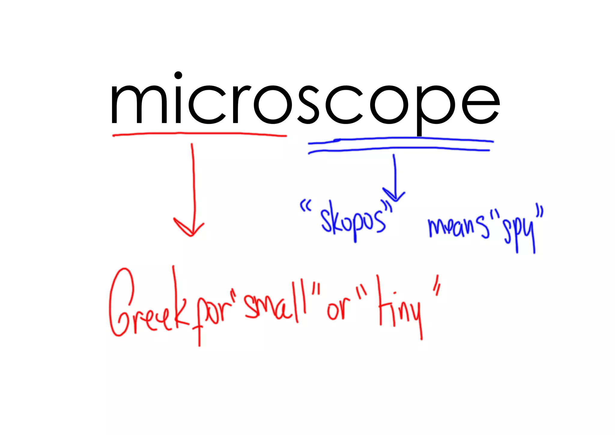 microscope
 