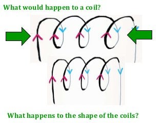 What would happen to a coil?




 What happens to the shape of the coils?
 