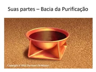 Suas partes – Bacia da Purificação
 