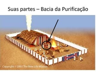 Suas partes – Bacia da Purificação
 