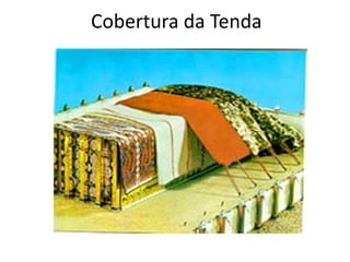 Cobertura da Tenda
 