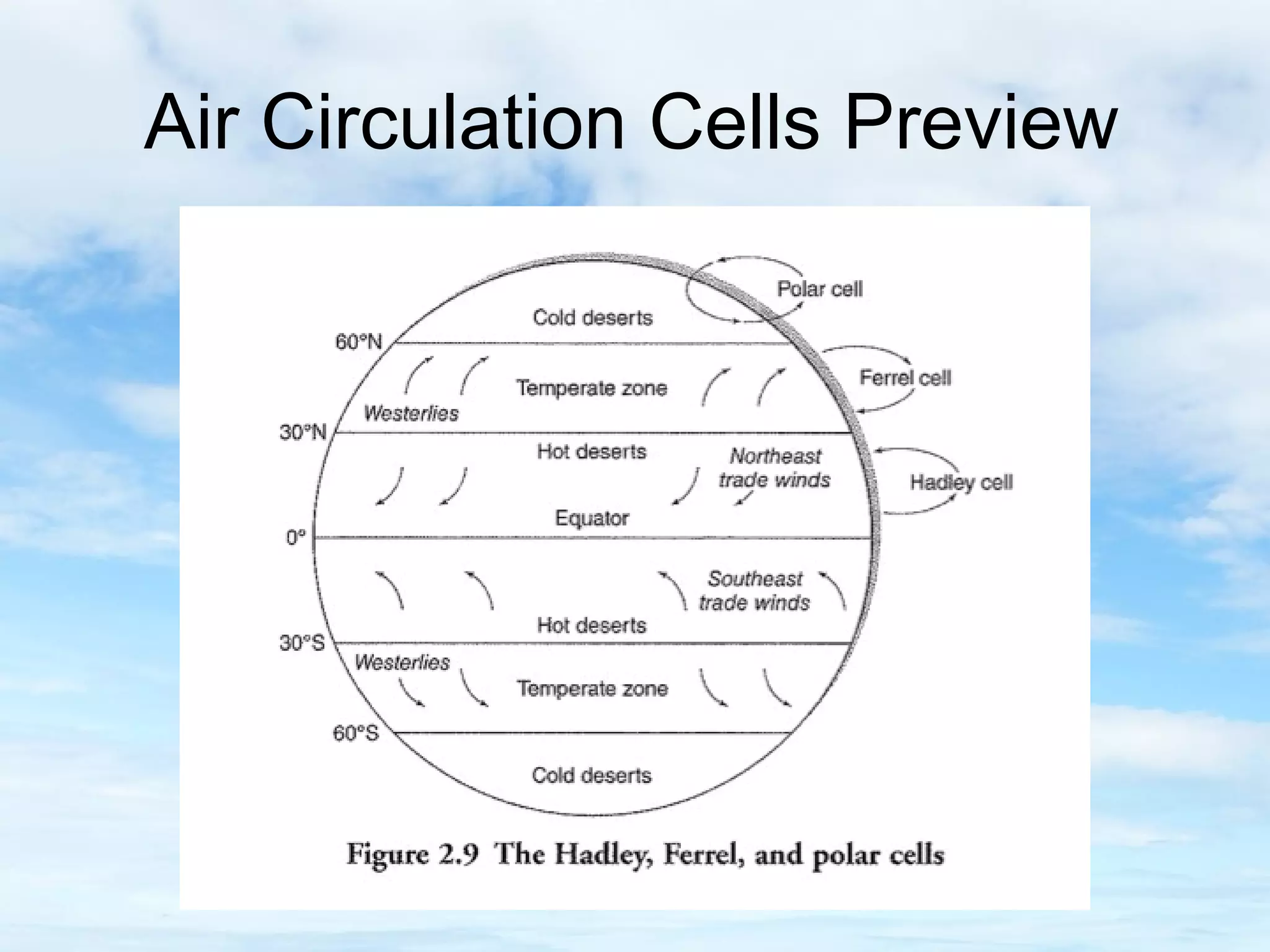 6.3 circulation cells | PPT