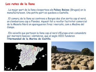 Les rutes de la llana
. La major part de la llana s’exportava als Països Baixos (Bruges) on la
manufacturaven. Una petita part es quedava a Castella.

. El comerç de la llana es centrava a Burgos des d’on sortia cap al nord,
on s’embarcava cap a Flandes. Aquest fet a revifar l’activitat comercial
de la Meseta Nord on aparegueren fires i mercats, com a Medina del
Campo.

. Els vaixells que portaven la llana cap al nord d’Europa eren comandats
per mariners bascos i càntabres, que al segle XIII fundaren
l’Hermandad de la Marina de Castilla.
 
