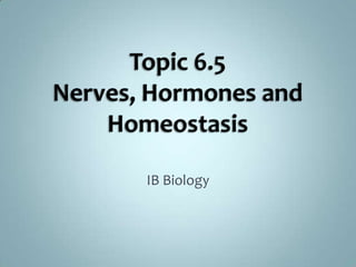 Topic 6.5Nerves, Hormones and Homeostasis IB Biology 