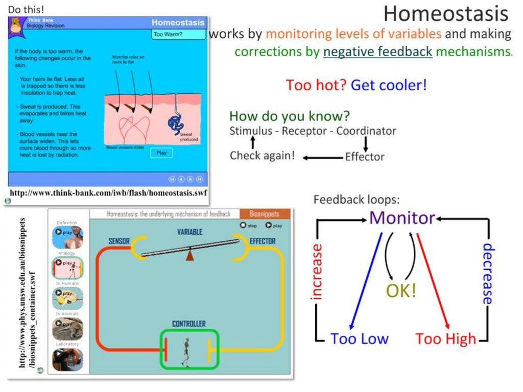 6.5 Nerves, Hormones and Homeostasis