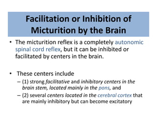 • The micturition reflex is the basic cause of micturition, but 
the higher centers normally exert final control of 
mictu...