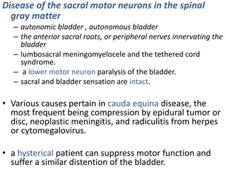 • With slowly evolving processes involving the upper cord, such as 
multiple sclerosis, the bladder spasticity and urgency...