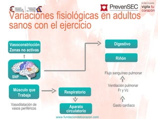 Variaciones fisiológicas en adultos  sanos con el ejercicio Vasodilatación de  vasos periféricos Flujo sanguíneo pulmonar Ventilación pulmonar Fr y Vc Gasto cardiaco Músculo que Trabaja Respiratorio Aparato circulatorio Digestivo Riñón Vasoconstricción  Zonas no activas SNP 