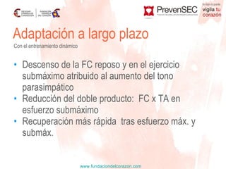 Descenso de la FC reposo y en el ejercicio submáximo atribuido al aumento del tono parasimpático Reducción del doble producto:  FC x TA en esfuerzo submáximo Recuperación más rápida  tras esfuerzo máx. y submáx. Adaptación a largo plazo Con el entrenamiento dinámico 