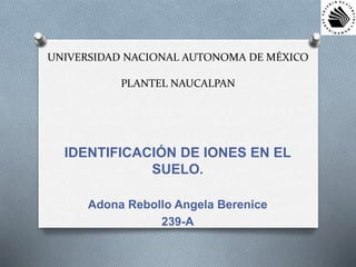 UNIVERSIDAD NACIONAL AUTONOMA DE MÉXICO
PLANTEL NAUCALPAN
IDENTIFICACIÓN DE IONES EN EL
SUELO.
Adona Rebollo Angela Berenice
239-A
 
