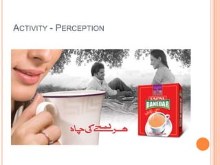 ACTIVITY - PERCEPTION
 