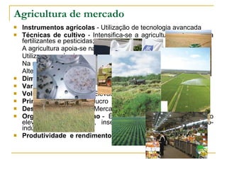 Instrumentos agrícolas  - Utilização de tecnologia avançada Técnicas de cultivo  - Intensifica-se a agricultura recorrendo a fertilizantes e pesticidas; A agricultura apoia-se na investigação científica; Utilizam-se máquinas; Na rega moderna é utilizada: aspersão, pivô, gota-a-gota;  Alteram-se condições climatéricas através de estufas Dimensão da propriedade  – latifúndio  Variedade de culturas  - Utiliza-se a monocultura Volume de produção  - Elevado Principal objectivo  - O lucro Destino da produção  - Mercado Organização do trabalho  -  É de carácter empresarial, exigindo elevados investimentos, inserindo-se, por vezes, em agro-indústrias Produtividade  e rendimento  - Elevados Agricultura de mercado 