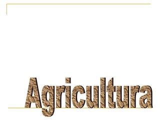 Agricultura 