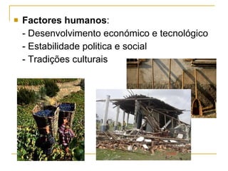 Factores humanos : - Desenvolvimento económico e tecnológico - Estabilidade politica e social - Tradições culturais  