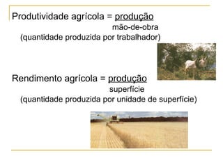 Produtividade agrícola =  produção   mão-de-obra  (quantidade produzida por trabalhador) Rendimento agrícola =  produção superfície  (quantidade produzida por unidade de superfície) 