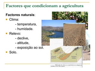 Factores que condicionam a agricultura Factores naturais : Clima: - temperatura,  - humidade. Relevo: - declive,  - altitude,  - exposição ao sol. Solo. 