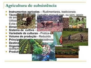 Instrumentos agrícolas  – Rudimentares, tradicionais Técnicas de cultivo  - Trabalho manual com, ou sem, apoio de animais;  Utiliza-se a estrumação natural;  Evita-se o esgotamento dos solos com a rotação de culturas Dimensão da propriedade  – minifúndio Sistema de  cultivo  - intensivo Variedade de culturas  - Pratica-se a policultura Volume de produção  - Reduzido Principal objectivo  - subsistência Destino da produção  - Autoconsumo Organização do trabalho  - O trabalho é familiar e sem qualquer remuneração (muita mão-de-obra) Produtividade e rendimento  - Reduzidos Agricultura de subsistência 