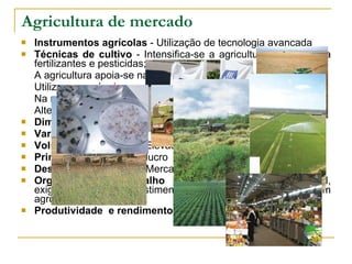 Instrumentos agrícolas  - Utilização de tecnologia avançada Técnicas de cultivo  - Intensifica-se a agricultura recorrendo a fertilizantes e pesticidas; A agricultura apoia-se na investigação científica; Utilizam-se máquinas; Na rega moderna é utilizada: aspersão, pivô, gota-a-gota;  Alteram-se condições climatéricas através de estufas Dimensão da propriedade  – latifúndio  Variedade de culturas  - Utiliza-se a monocultura Volume de produção  - Elevado Principal objectivo  - O lucro Destino da produção  - Mercado Organização do trabalho  -  É de carácter empresarial, exigindo elevados investimentos, inserindo-se, por vezes, em agro-indústrias Produtividade  e rendimento  - Elevados Agricultura de mercado 