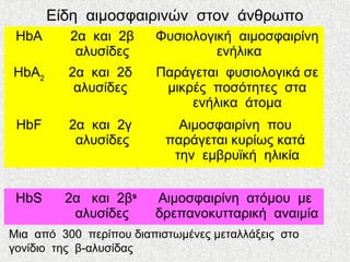 Είδη αιμοσφαιρινών στον άνθρωπο
HbA 2α και 2β
αλυσίδες
Φυσιολογική αιμοσφαιρίνη
ενήλικα
HbA2
2α και 2δ
αλυσίδες
Παράγεται φυσιολογικά σε
μικρές ποσότητες στα
ενήλικα άτομα
HbF 2α και 2γ
αλυσίδες
Αιμοσφαιρίνη που
παράγεται κυρίως κατά
την εμβρυϊκή ηλικία
HbS 2α και 2βs
αλυσίδες
Αιμοσφαιρίνη ατόμου με
δρεπανοκυτταρική αναιμία
Μια από 300 περίπου διαπιστωμένες μεταλλάξεις στο
γονίδιο της β-αλυσίδας
 