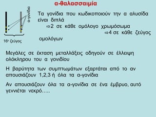 α-θαλασσαιμία
16ο
ζεύγος
α-γονίδια
Τα γονίδια που κωδικοποιούν την α αλυσίδα
είναι διπλά
⇨2 σε κάθε ομόλογο χρωμόσωμα
⇨4 σε κάθε ζεύγος
ομολόγων
Μεγάλες σε έκταση μεταλλάξεις οδηγούν σε έλλειψη
ολόκληρου του α γονιδίου
Η βαρύτητα των συμπτωμάτων εξαρτάται από το αν
απουσιάζουν 1,2,3 ή όλα τα α-γονίδια
Αν απουσιάζουν όλα τα α-γονίδια σε ένα έμβρυο, αυτό
γεννιέται νεκρό…..
 