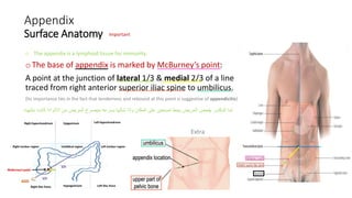 6- Anatomy of Large Intestine.pdfjsjsjwh | PDF