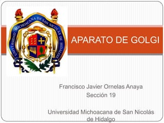 APARATO DE GOLGI




   Francisco Javier Ornelas Anaya
             Sección 19

Universidad Michoacana de San Nicolás
              de Hidalgo
 