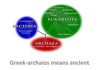 Archaea
Greek-archaios means ancient
 