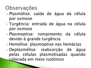  Plasmólise: saída de água da célula
por osmose
 Turgência: entrada de água na célula
por osmose
 Plasmoptise: rompimento da célula
devido á grande turgência
 Hemólise: plasmoptise nas hemácias
 Deplasmólise: reabsorção de água
pelas células plasmolisadas quando
colocada em meio isotônico
 