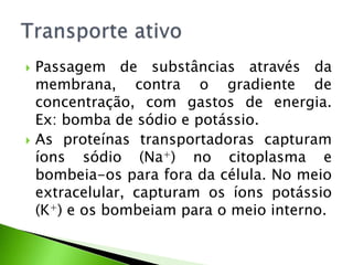  Passagem de substâncias através da
membrana, contra o gradiente de
concentração, com gastos de energia.
Ex: bomba de sódio e potássio.
 As proteínas transportadoras capturam
íons sódio (Na+) no citoplasma e
bombeia-os para fora da célula. No meio
extracelular, capturam os íons potássio
(K+) e os bombeiam para o meio interno.
 