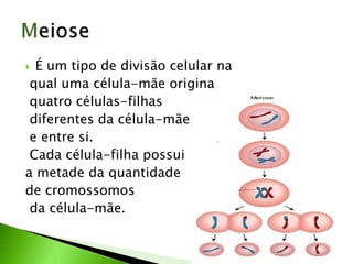  É um tipo de divisão celular na
qual uma célula-mãe origina
quatro células-filhas
diferentes da célula-mãe
e entre si.
Cada célula-filha possui
a metade da quantidade
de cromossomos
da célula-mãe.
 
