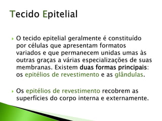  O tecido epitelial geralmente é constituído
por células que apresentam formatos
variados e que permanecem unidas umas às
outras graças a várias especializações de suas
membranas. Existem duas formas principais:
os epitélios de revestimento e as glândulas.
 Os epitélios de revestimento recobrem as
superfícies do corpo interna e externamente.
 