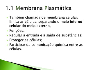  Também chamada de membrana celular,
limita as células, separando o meio interno
celular do meio externo.
 Funções:
 Regular a entrada e a saída de substâncias;
 Proteger as células;
 Participar da comunicação química entre as
células.
 