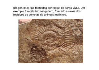 Biogênicas: são formadas por restos de seres vivos. Um
exemplo é o calcário conquífero, formado através dos
resíduos de conchas de animais marinhos.
 