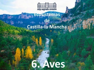 Ecosistemas
de
Castilla-la Mancha
6. Aves
 