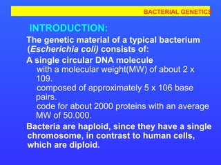 6-BACTERIAL GENETICS DNA AND RNA FOR MEDICAL STUDENT | PPT