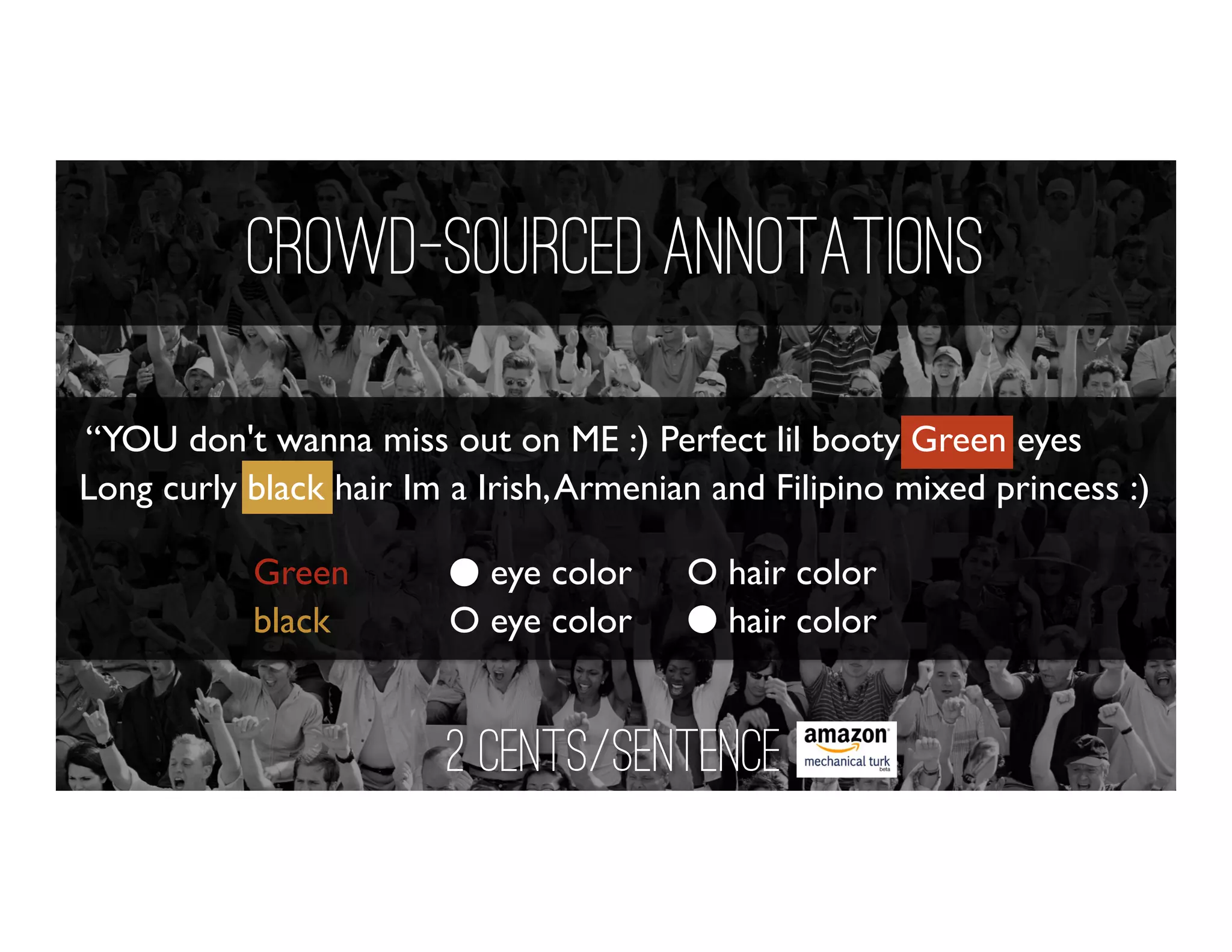 Crowd-SourcED Annotations
“YOU don't wanna miss out on ME :) Perfect lil booty Green eyes
Long curly black hair Im a Irish,Armenian and Filipino mixed princess :)
Green O eye color O hair color
black O eye color O hair color
2 cents/sentence
 