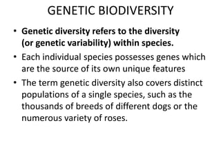 GENETIC BIODIVERSITY
• Genetic diversity refers to the diversity
(or genetic variability) within species.
• Each individual species possesses genes which
are the source of its own unique features
• The term genetic diversity also covers distinct
populations of a single species, such as the
thousands of breeds of different dogs or the
numerous variety of roses.
 