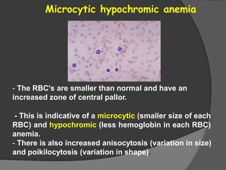 6- blood physiology.pptx