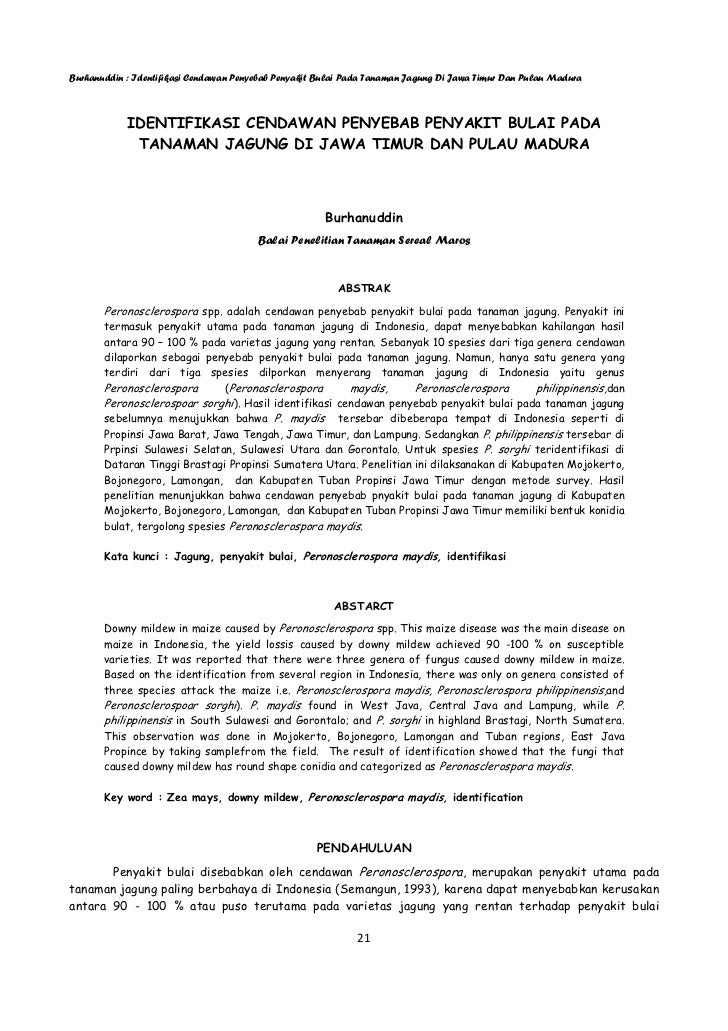 6 Burhanuddin Jurnal Identifikasi