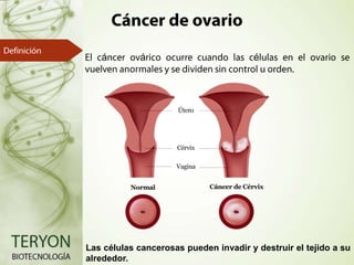á

á

é

Las células cancerosas pueden invadir y destruir el tejido a su
alrededor.

 
