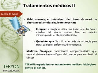 •

á
é
•
.

•
•

 