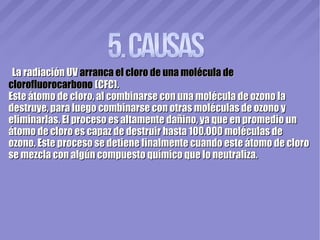 La radiación UVLa radiación UV arranca el cloro de una molécula dearranca el cloro de una molécula de
clorofluorocarbonoclorofluorocarbono (CFC).(CFC).
Este átomo de cloro, al combinarse con una molécula de ozono laEste átomo de cloro, al combinarse con una molécula de ozono la
destruye, para luego combinarse con otras moléculas de ozono ydestruye, para luego combinarse con otras moléculas de ozono y
eliminarlas. El proceso es altamente dañino, ya que en promedio uneliminarlas. El proceso es altamente dañino, ya que en promedio un
átomo de cloro es capaz de destruir hasta 100.000 moléculas deátomo de cloro es capaz de destruir hasta 100.000 moléculas de
ozono. Este proceso se detiene finalmente cuando este átomo de cloroozono. Este proceso se detiene finalmente cuando este átomo de cloro
se mezcla con algún compuesto químico que lo neutraliza.se mezcla con algún compuesto químico que lo neutraliza.
 